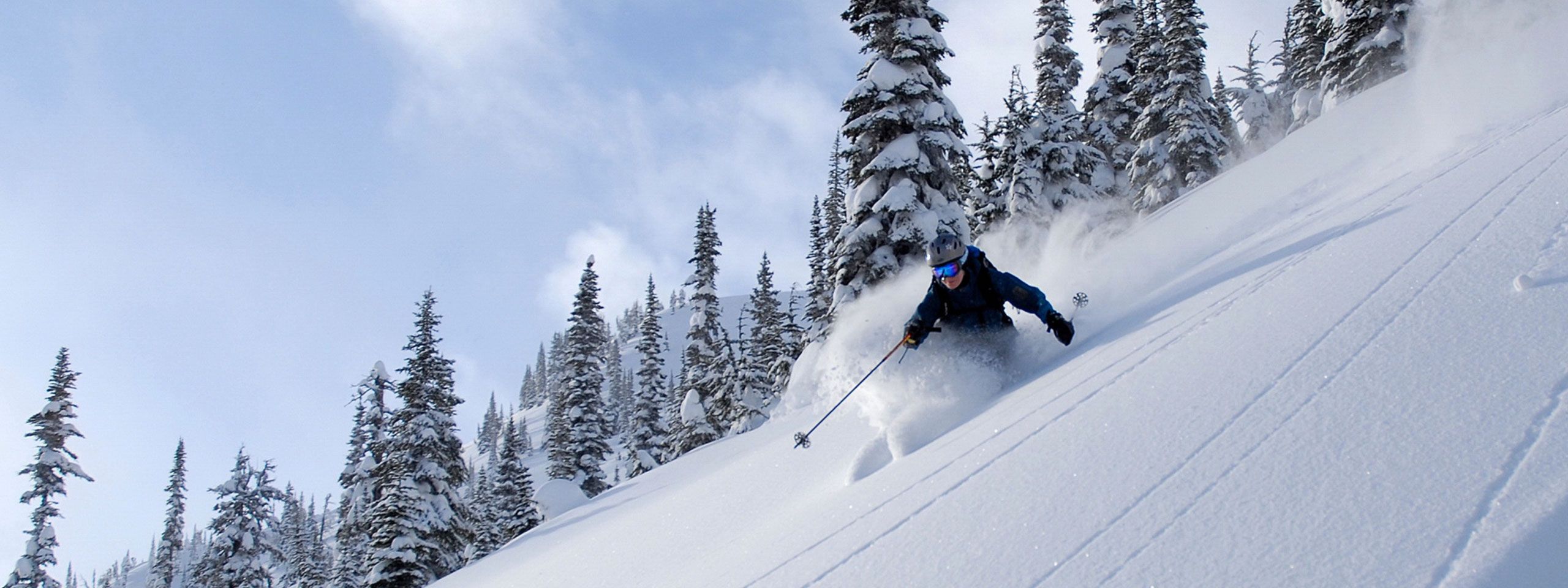 ski montagne vacances location de chalet immobilier